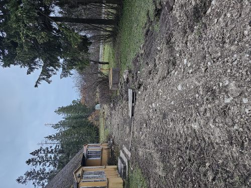 20231117 154948
