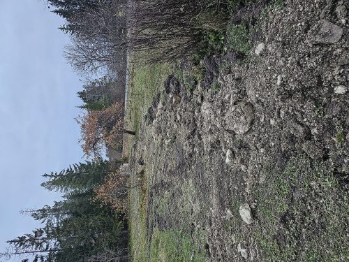 20231117 155006